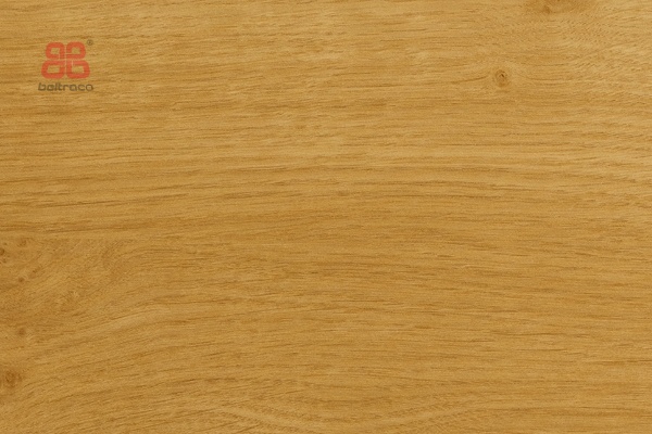 Renolit 3211005 Irish oak (96006)